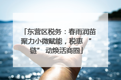 东营区税务：春雨润苗聚力小微赋能，税惠 “链” 动焕活商圈
