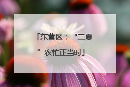 东营区：“三夏”农忙正当时