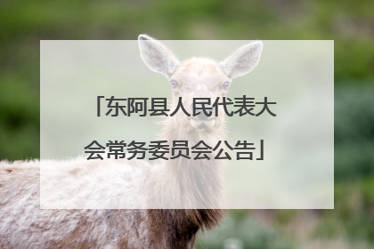 东阿县人民代表大会常务委员会公告