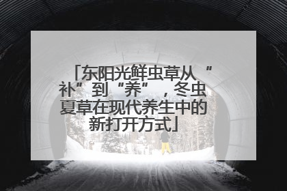 东阳光鲜虫草从“补”到“养”，冬虫夏草在现代养生中的新打开方式
