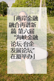 两岸金融融合再谱新篇 第六届“海峡金融论坛·台企发展论坛”在厦举办