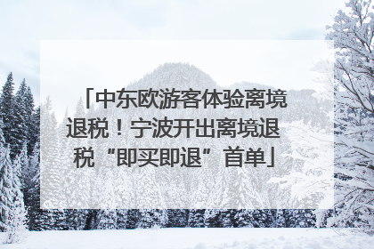 中东欧游客体验离境退税！宁波开出离境退税“即买即退”首单