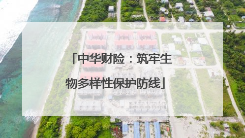 中华财险：筑牢生物多样性保护防线