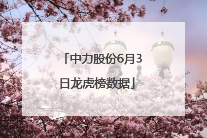 中力股份6月3日龙虎榜数据