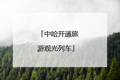 中哈开通旅游观光列车