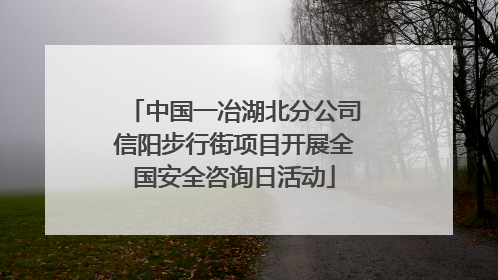 中国一冶湖北分公司信阳步行街项目开展全国安全咨询日活动