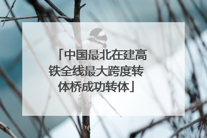 中国最北在建高铁全线最大跨度转体桥成功转体