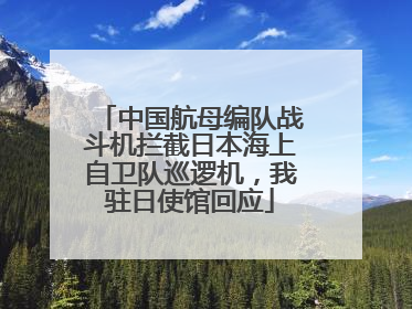 中国航母编队战斗机拦截日本海上自卫队巡逻机，我驻日使馆回应