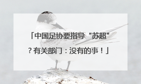 中国足协要指导“苏超”？有关部门：没有的事！