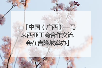 中国（广西）—马来西亚工商合作交流会在吉隆坡举办