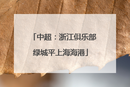 中超：浙江俱乐部绿城平上海海港