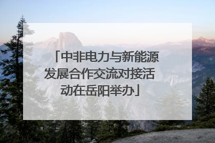 中非电力与新能源发展合作交流对接活动在岳阳举办