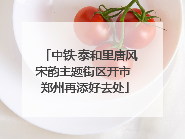 中铁·泰和里唐风宋韵主题街区开市 郑州再添好去处