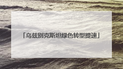 乌兹别克斯坦绿色转型提速