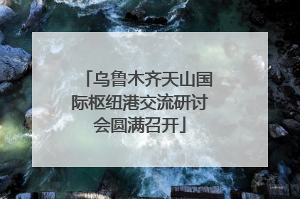 乌鲁木齐天山国际枢纽港交流研讨会圆满召开