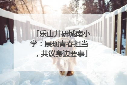 乐山井研城南小学：展现青春担当，共议身边要事