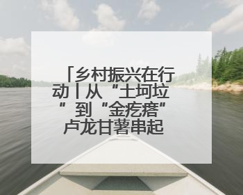 乡村振兴在行动丨从“土坷垃”到“金疙瘩” 卢龙甘薯串起富民产业链