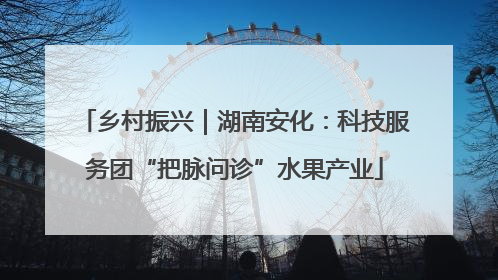 乡村振兴｜湖南安化：科技服务团“把脉问诊”水果产业
