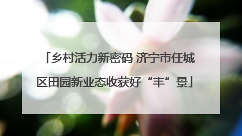 乡村活力新密码 济宁市任城区田园新业态收获好“丰”景
