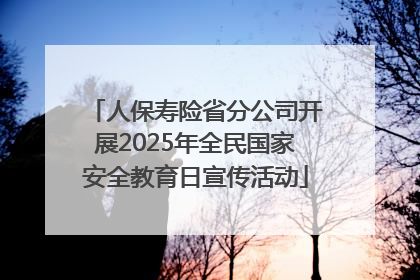 人保寿险省分公司开展2025年全民国家安全教育日宣传活动