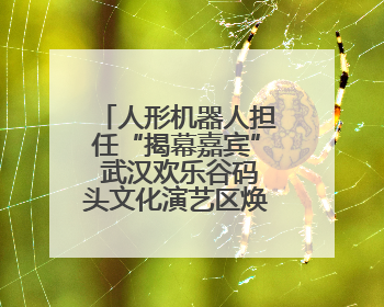 人形机器人担任“揭幕嘉宾” 武汉欢乐谷码头文化演艺区焕新归来