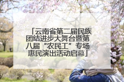 云南省第二届民族团结进步大舞台暨第八届“农民工”专场惠民演出活动启幕