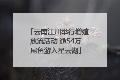 云南江川举行增殖放流活动 逾54万尾鱼游入星云湖