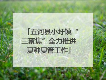 五河县小圩镇“三聚焦”全力推进夏种夏管工作