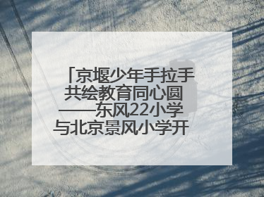 京堰少年手拉手 共绘教育同心圆——东风22小学与北京景风小学开展对口协作活动