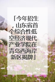 今年招生，山东省首个综合性低空经济现代产业学院在青岛西海岸新区揭牌