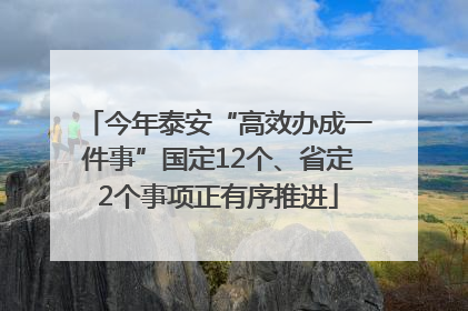 今年泰安“高效办成一件事”国定12个、省定2个事项正有序推进