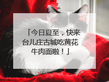 今日夏至，快来台儿庄古城吃黄花牛肉面啦！