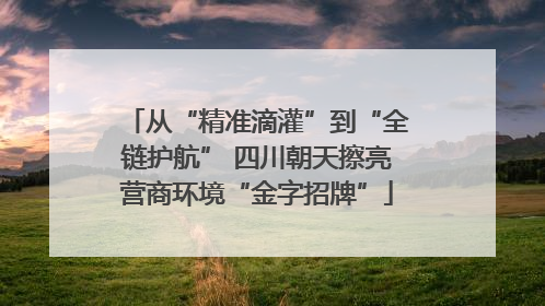 从“精准滴灌”到“全链护航” 四川朝天擦亮营商环境“金字招牌”