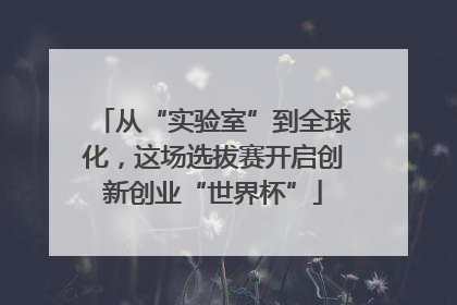 从“实验室”到全球化，这场选拔赛开启创新创业“世界杯”