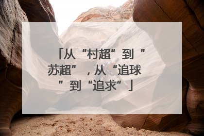 从“村超”到“苏超”，从“追球”到“追求”