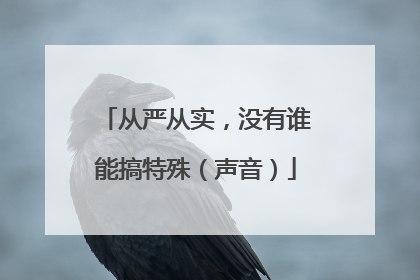 从严从实，没有谁能搞特殊（声音）