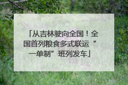从吉林驶向全国！全国首列粮食多式联运“一单制”班列发车
