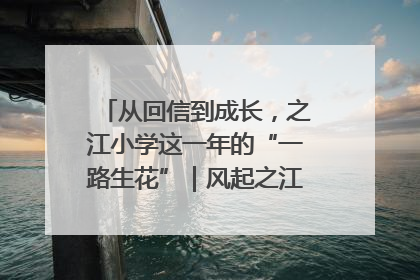 从回信到成长，之江小学这一年的“一路生花”｜风起之江 扶摇直上