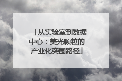 从实验室到数据中心：美光颗粒的产业化突围路径