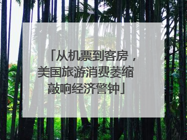 从机票到客房，美国旅游消费萎缩敲响经济警钟
