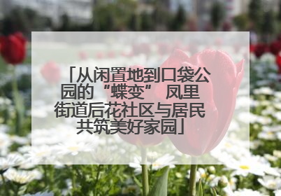 从闲置地到口袋公园的“蝶变” 凤里街道后花社区与居民共筑美好家园