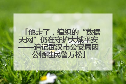 他走了，编织的“数据天网”仍在守护大城平安——追记武汉市公安局因公牺牲民警万松