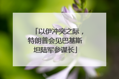 以伊冲突之际，特朗普会见巴基斯坦陆军参谋长