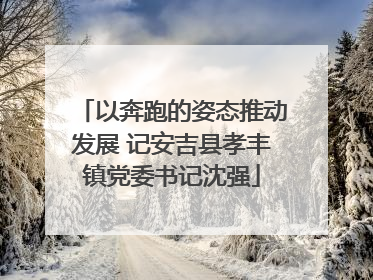 以奔跑的姿态推动发展 记安吉县孝丰镇党委书记沈强