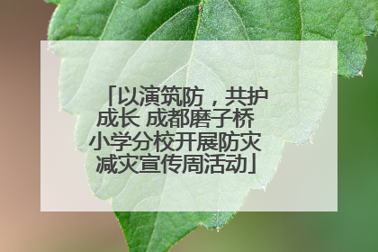 以演筑防，共护成长 成都磨子桥小学分校开展防灾减灾宣传周活动