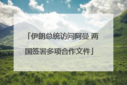 伊朗总统访问阿曼 两国签署多项合作文件
