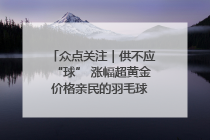 众点关注｜供不应“球” 涨幅超黄金 价格亲民的羽毛球为何身价飞涨？
