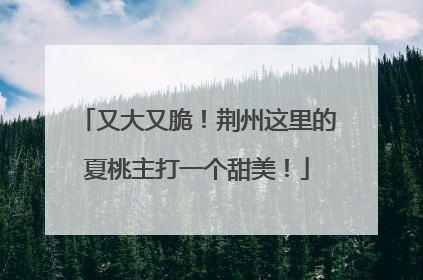 又大又脆！荆州这里的夏桃主打一个甜美！