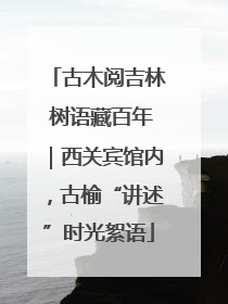 古木阅吉林 树语藏百年｜西关宾馆内，古榆“讲述”时光絮语
