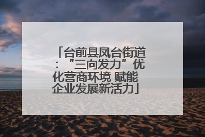 台前县凤台街道：“三向发力”优化营商环境 赋能企业发展新活力